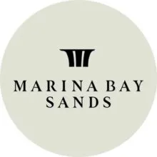 Marina Bay Sands Mastercard Theatre project thumbnail