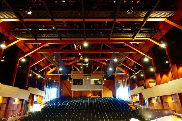 Niels Werner Adelman-Larsen and Flex Acoustics: From Musician to Sound Pioneer featured image